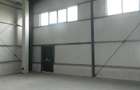 Spațiu industrial, de 1,000 mp, în Torontalului - 6