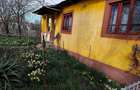 Casă cu 3 camere cu Teren 6100 Mp în Constantinești - 4