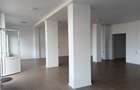 Spațiu comercial, de 130 mp, în Vidin-Progresul - 9