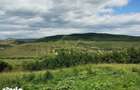 Teren intravilan 2.200 mp | Radaia Baciu | Panorama superba - 1