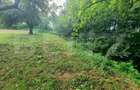 Teren intravilan, 31 ari, Ilva Mica, zona montana - 3