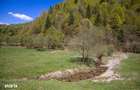 Zarnesti-Barsa Fierului-Teren 1.893 mp pentru Casa de vacanta, A-frame - 1