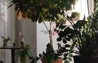 Apartament cu 4 camere semidecomandat în Titan - 13
