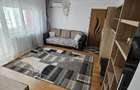 Chirie 2 camere Micalaca - 6