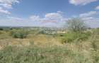 Teren agricol intravilan de 6372 mp, în Paleu - 10 Teren agricol intravilan de 6372 mp, în Paleu - 10