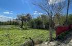 Casa si teren 2.273 mp Str. Livezi, Comuna Suraia, Vrancea - 7