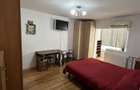 Apartament 1 camera zona Dambovita - 1