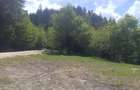 Teren de 1000 mp, în Babarunca - 2