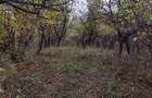 Vanzare sau Schimb! Central Drajna de Jos 5000 mp - 5