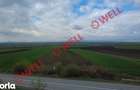 Teren intravilan de vanzare in Bicfalau! - 3
