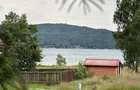 Cabana cu piscina - Lacul Surduc - 1