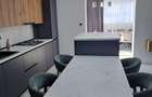 Penthouse-prima inchiriere - 17