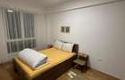 Vanzare apartament de doua camere Crangasi - 2