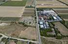 Teren Construcții de 6005 mp, în Zădăreni - 6