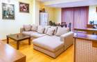 Apartament cu 2 camere semidecomandat în Herăstrău - 3