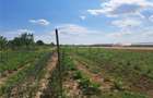 Casă cu 8 camere cu Teren 8300 Mp în Sânlazăr - 7