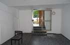 Apartament cu 4 camere circular în Iosefin - 22