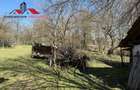 Casa si anexe cu un teren de 7701 mp de vanzare in Stauini Jud Alba - 12