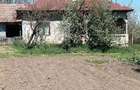 Casa la ?ara jud. Giurgiu, 4 camere, curte 4000 mp - 2