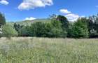 Teren Construcții intravilan de 4000 mp, în Brădet - 8