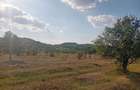 Spațiu comercial, în Filipeștii de Pădure - 5