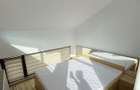 Apartament open-space tip loft , Grigorescu, pet-friendly - 4