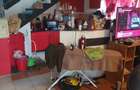 Vind casa in oras Pantelimon - 4