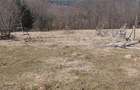 Teren de 1300 mp, în Valea Doftanei - 3