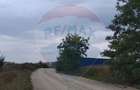 Teren extravilan 3000mp de vanzare la Santion - 3