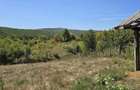 Casa batraneasca cu teren - 5