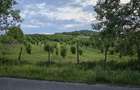 Teren de 27000 mp, în Orașu Nou - 3
