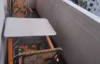 Dau in chirie ap. 2 camere conf. 1, Cart. Manastur, str. Parang - 5