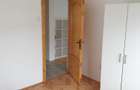 3 camere zona Profi Grigorescu - 1