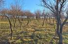 Casă cu 3 camere cu Canalizare în Săcădat - 10