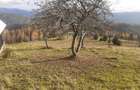 Casă cu 2 camere în Horea - 1