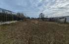 Teren constructii langa oras, Letea-Veche - 4