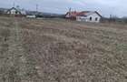 Teren de 2200 mp, în Gruiu - 5
