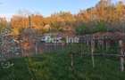 Casa batraneasca cu teren 1150 mp, vie si livada Serbanesti, Paus - 7