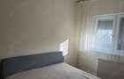 Apartament cu 2 camere decomandat în Micălaca - 5