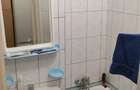 Apartament cu 1 camera de vanzare Zona Olosig, Oradea - 6