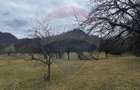 Teren intravilan 12.458 mp in Valeni (Metes) - 5