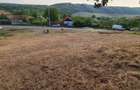Vand teren intravilan Betfia - 4