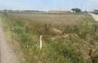 Vand teren intravilan Maldaeni 2000 m - 4