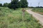 Teren agricol de 4900 mp, în Boldești - 4
