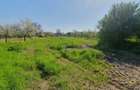 Vand casa in Zadareni ID:RH-37250-property - 2