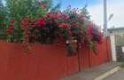 Casa + Teren 255 mp, Galati Central (Zona Romana A.I. Cernat) | Ideal Constructie / Investitie - 5