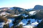 De vanzare 2 Hectare de Padure Brad Douglas Duplex Oportunitate Unica - 3