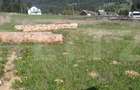 Teren intravilan, 979 mp, zona Plaiu Sarului - Vatra Dornei. - 2