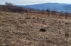Teren Intravilan 43Ari zona Ortelec-Zalau intre case 4800eur/ar - 10