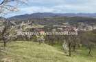 De vanzare! Teren 21.000mp. Comuna Corbi, Arges - 6